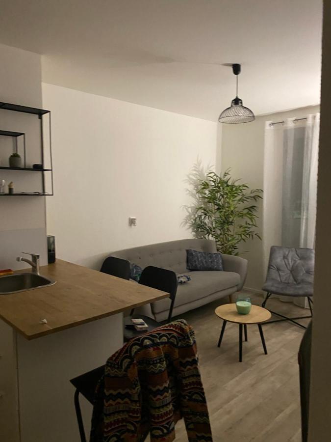 Joli Appartement Meuble Annecy Luaran gambar